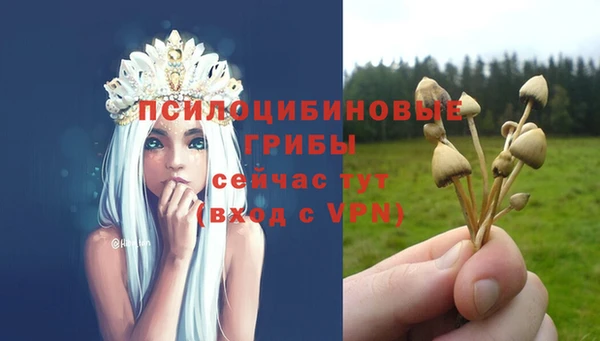 прущая мука Ладушкин