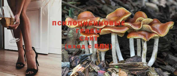 ПСИЛОЦИБИНОВЫЕ ГРИБЫ Кулебаки