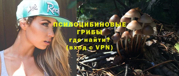 прущие крисы Куртамыш